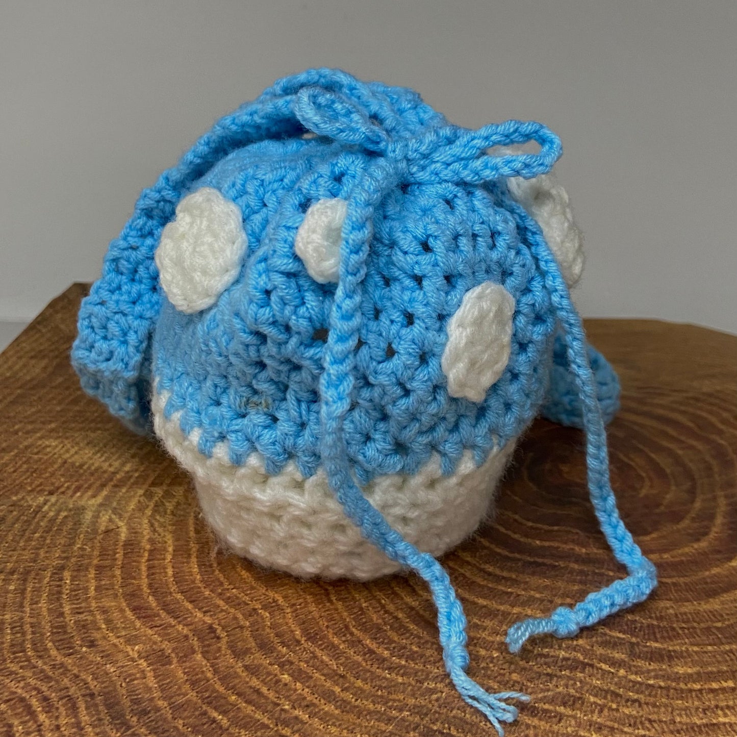 Small Blue Mushroom Pouch
