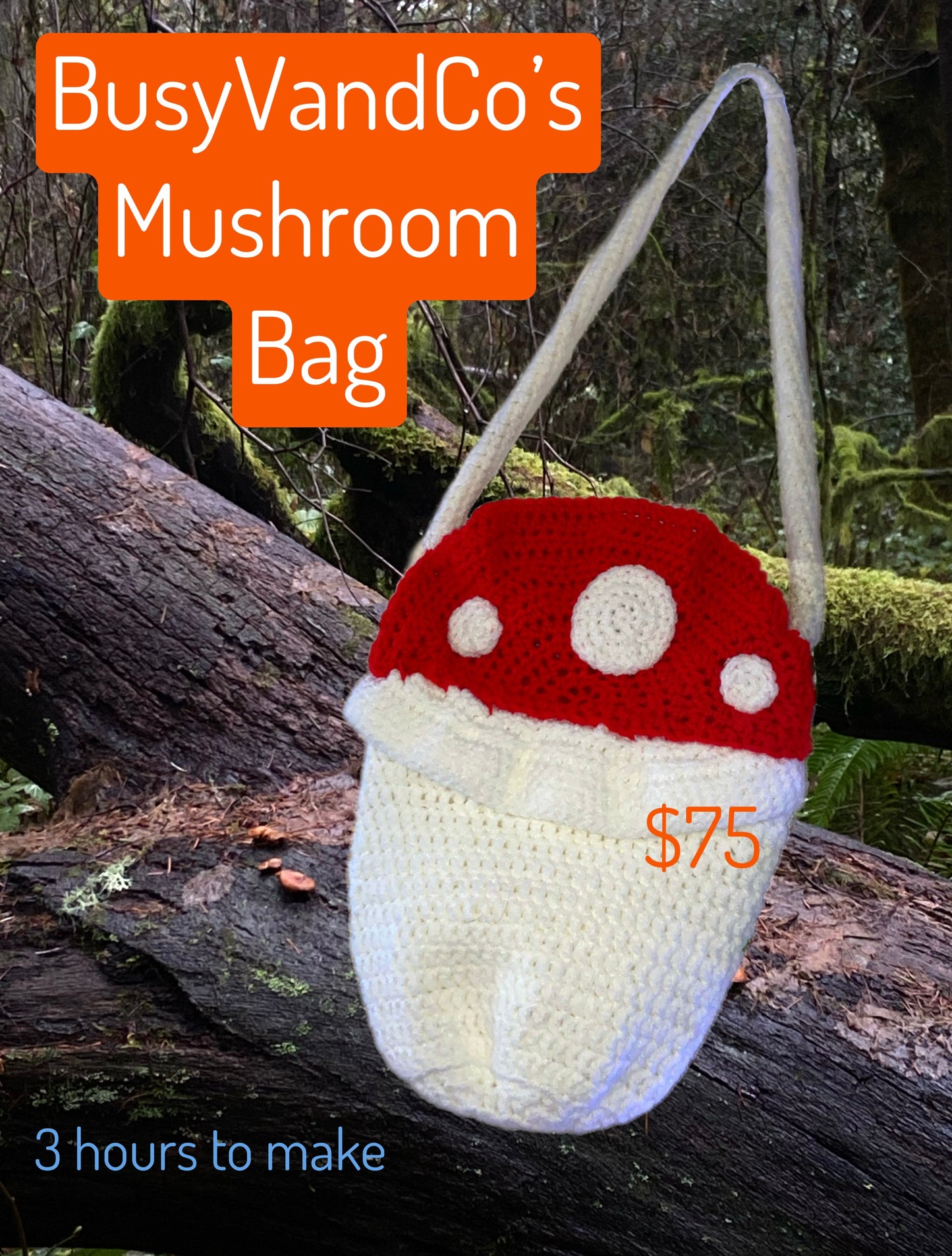 Large Mushroom Bag