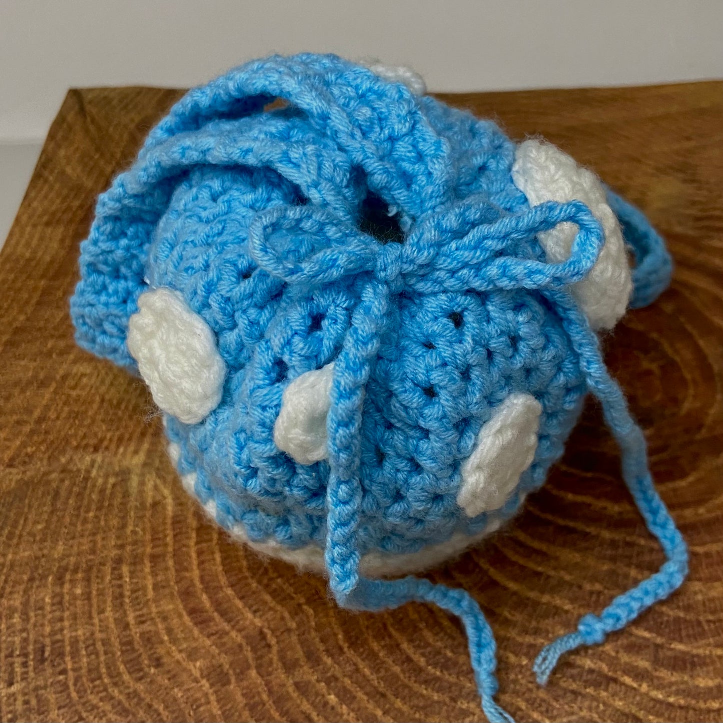 Small Blue Mushroom Pouch