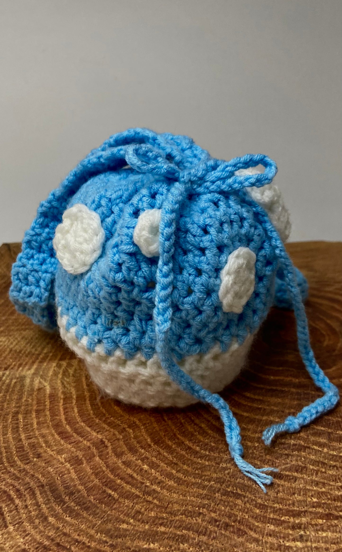 Small Blue Mushroom Pouch