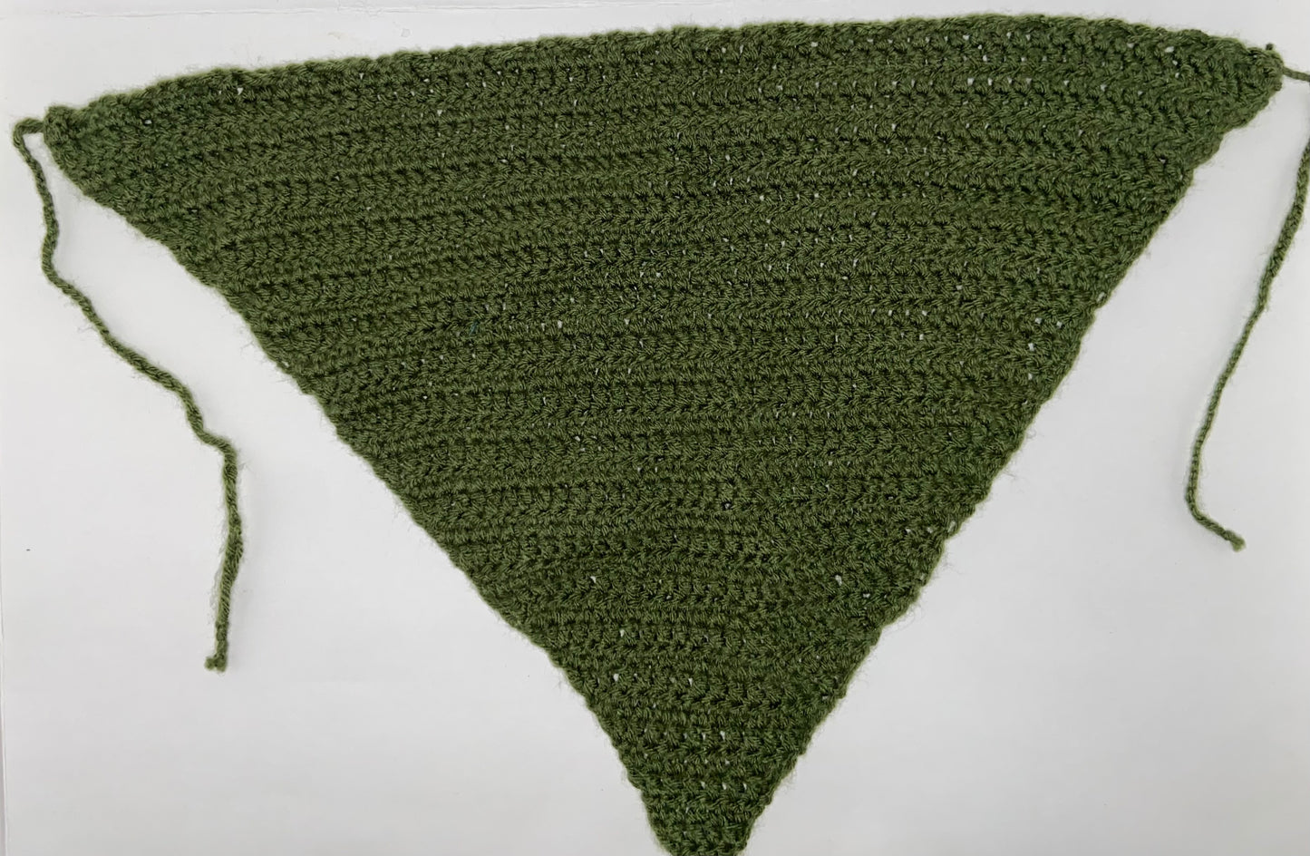 Large Green Bandana
