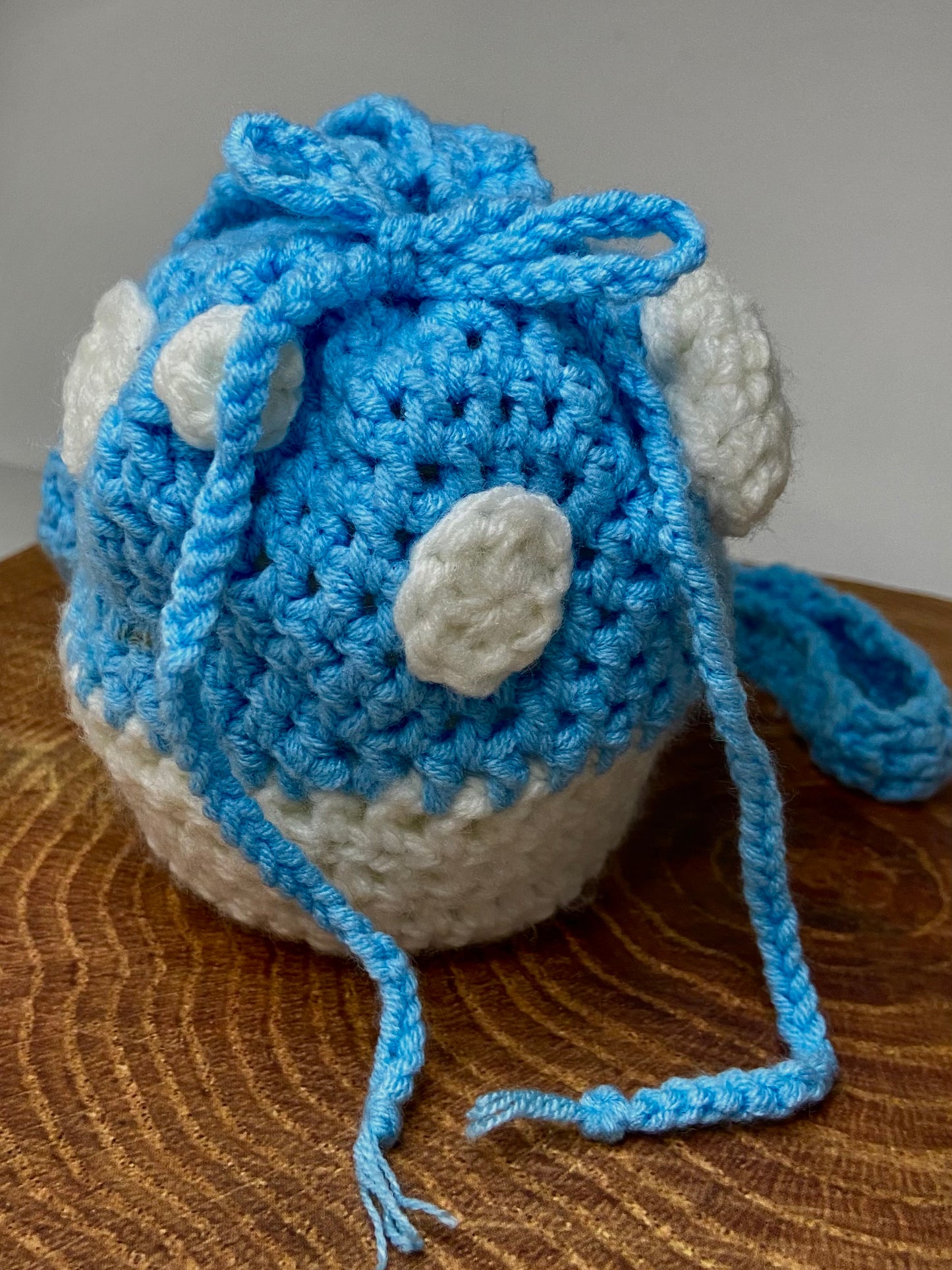 Small Blue Mushroom Pouch
