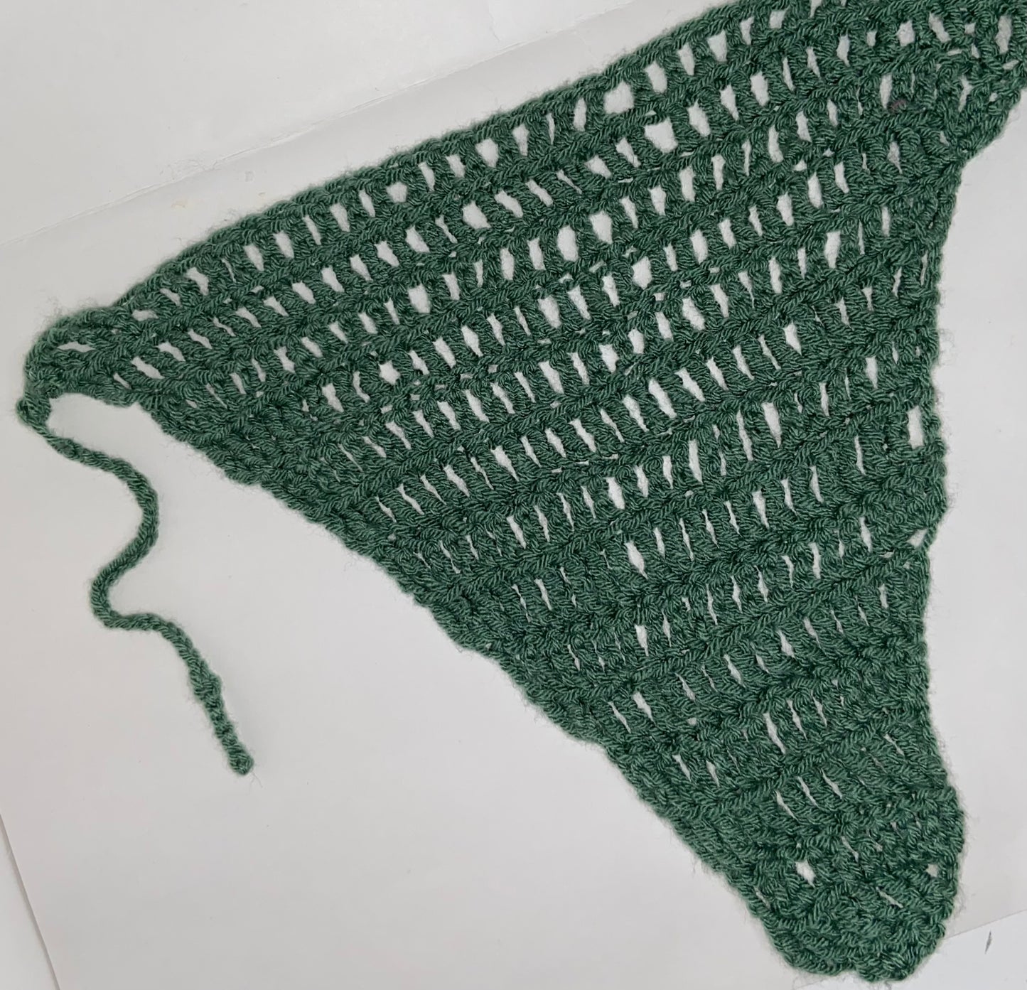 Large Sage Green bandana